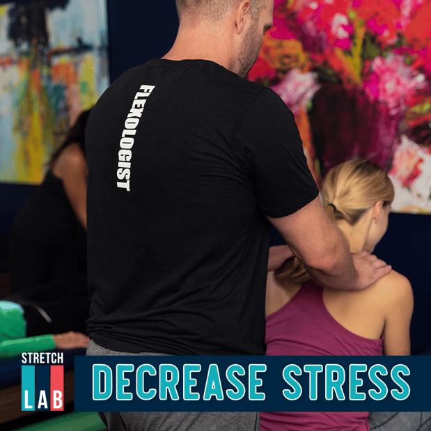 Images StretchLab