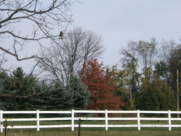 Images AAA Fence LLC