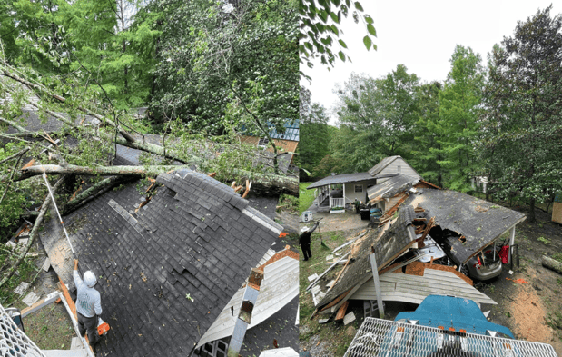 Images Magana Tree Service