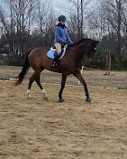 Images Star Ridge Stables
