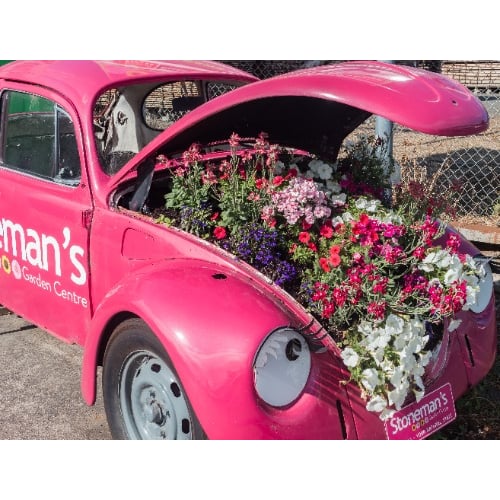 Stoneman's Garden Centre Logo