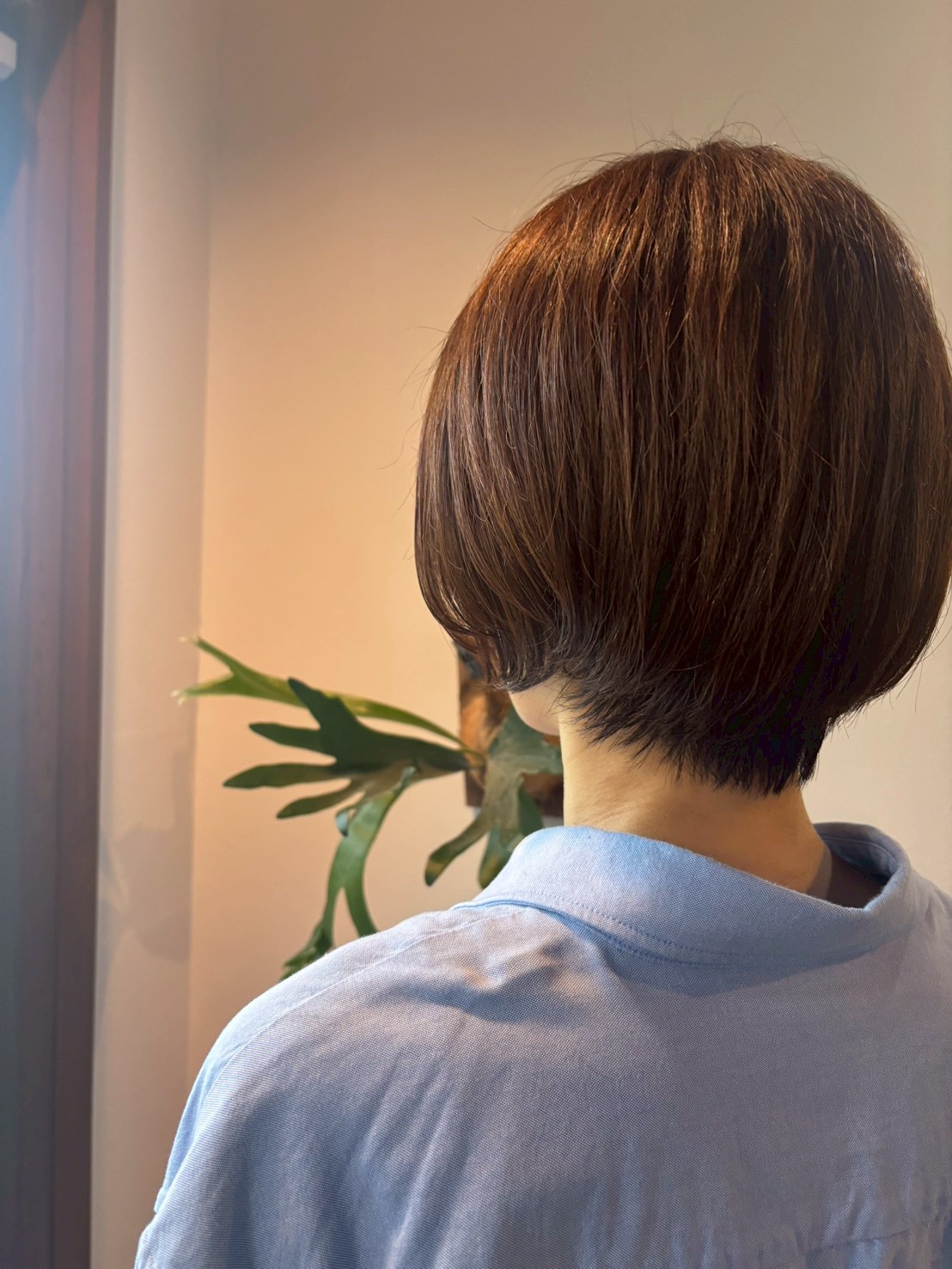 Images PLUS 【プルス】墨染店