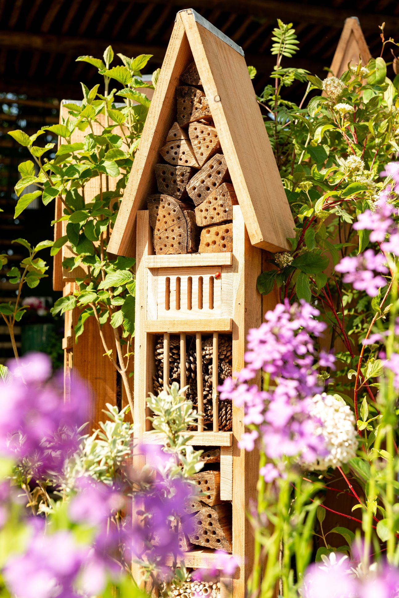 Bilder Taïga, Inspiration Nature SA