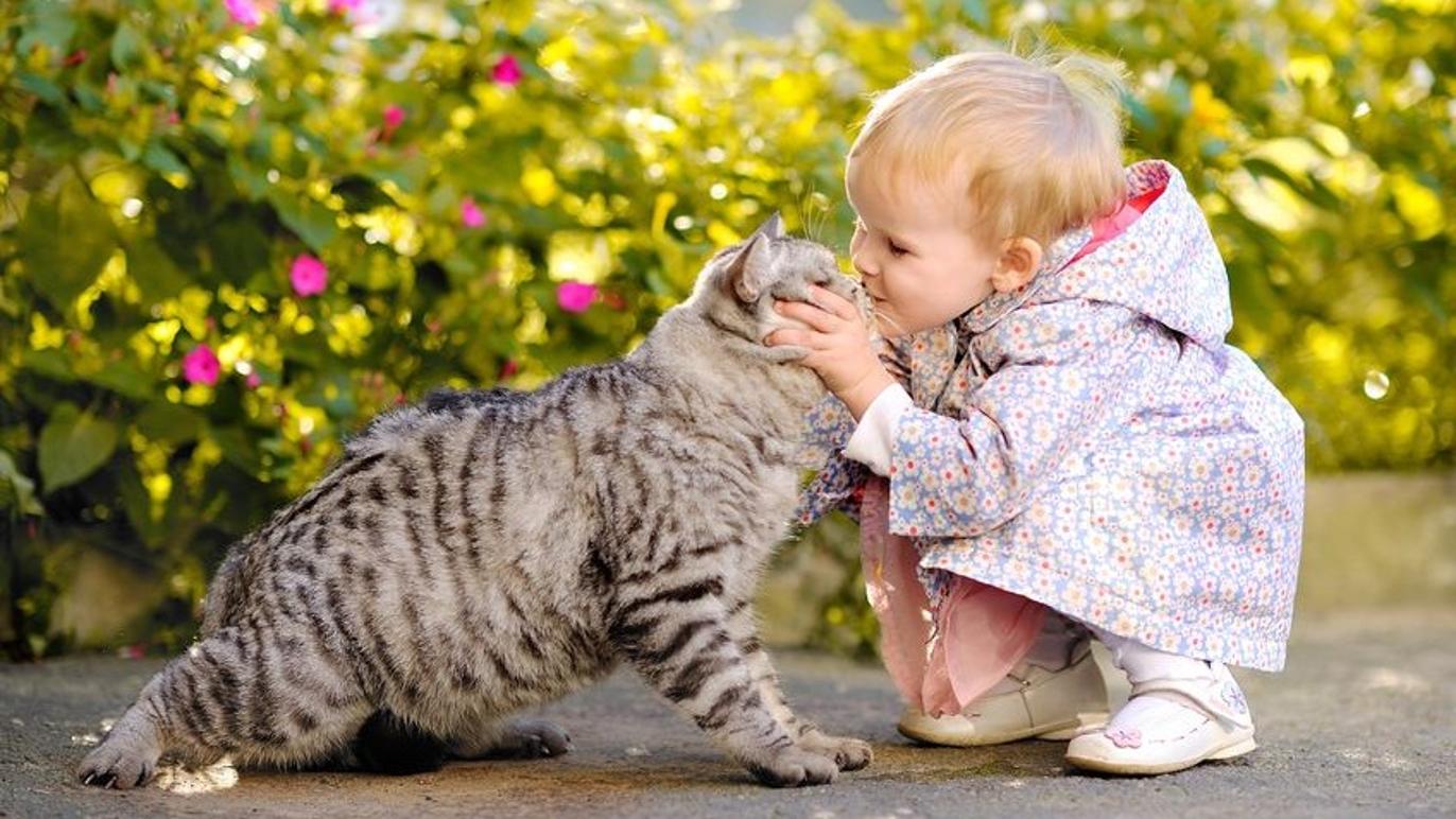 Images Dyreklinikken Viby Sjælland