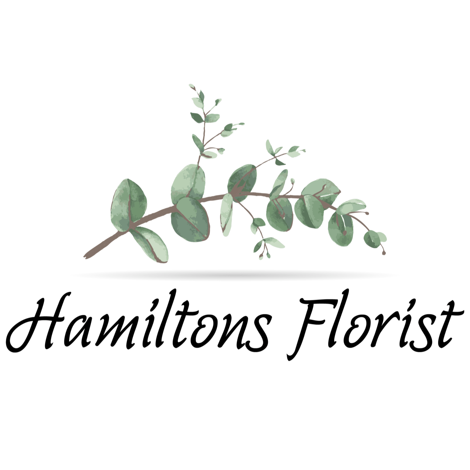 Hamiltons Florist St. Petersburg - Saint Petersburg, FL 33709 - (727)545-4003 | ShowMeLocal.com