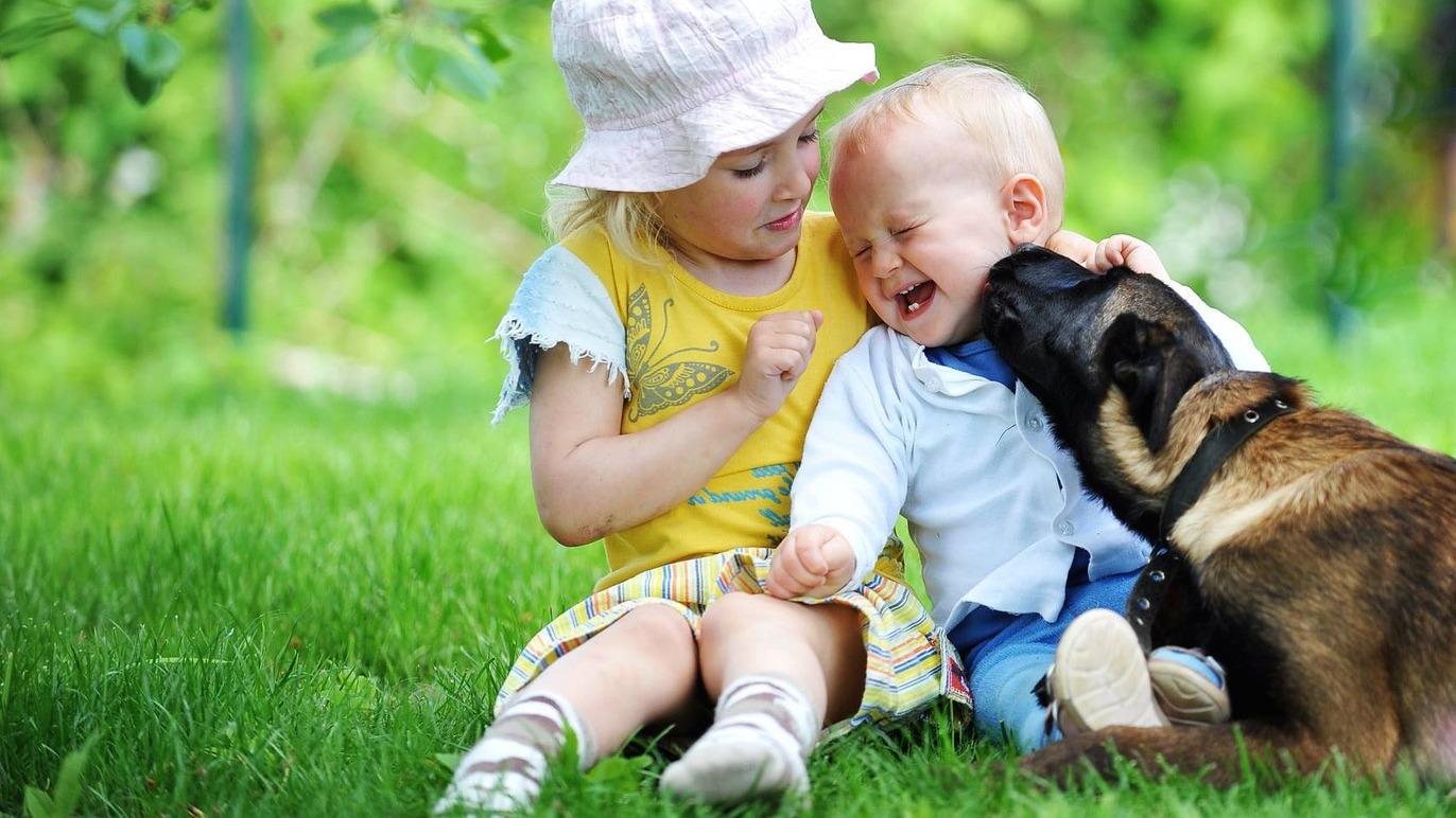 Images Dyreklinikken Viby Sjælland