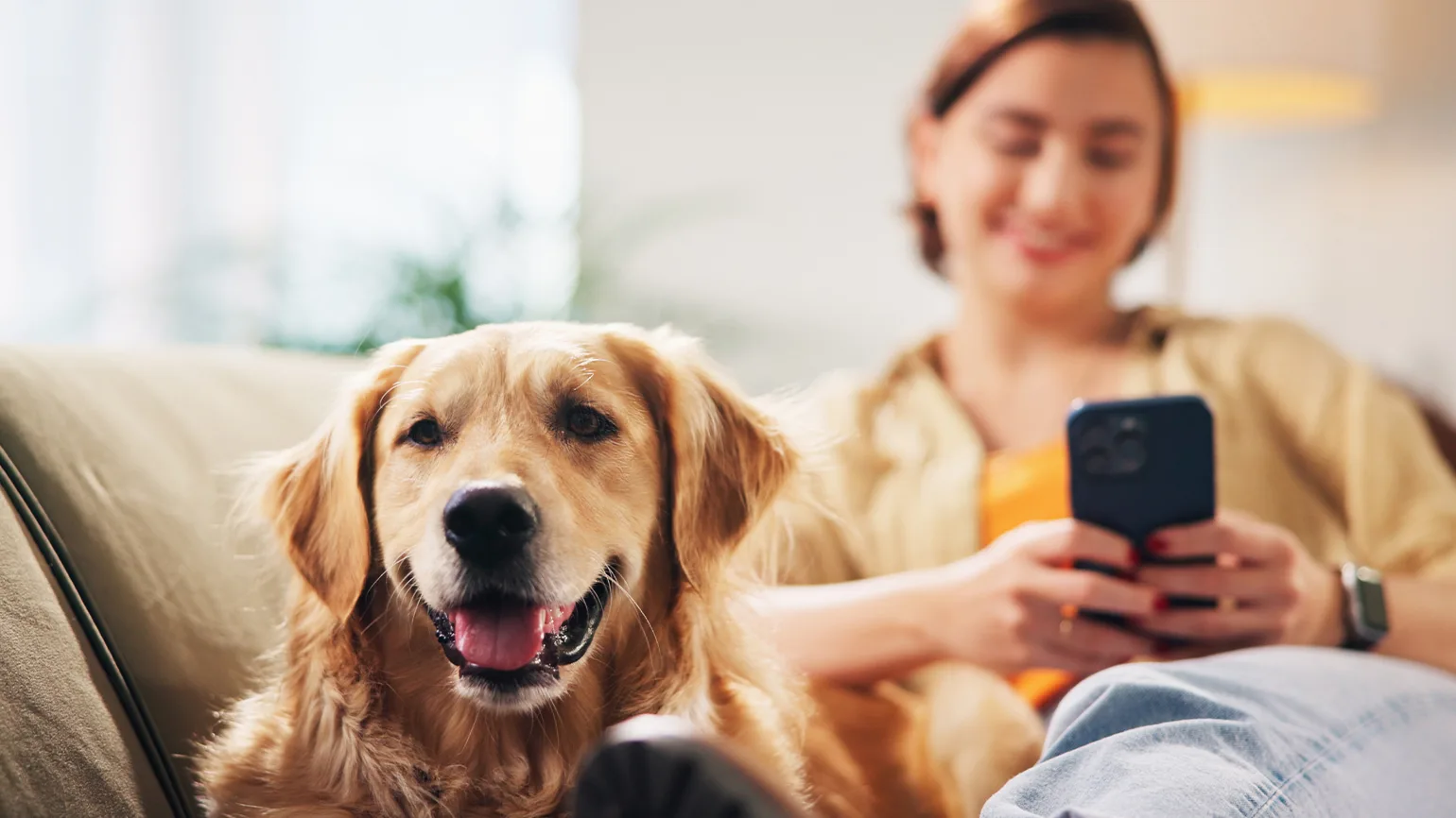 Vetco Vaccination Clinic