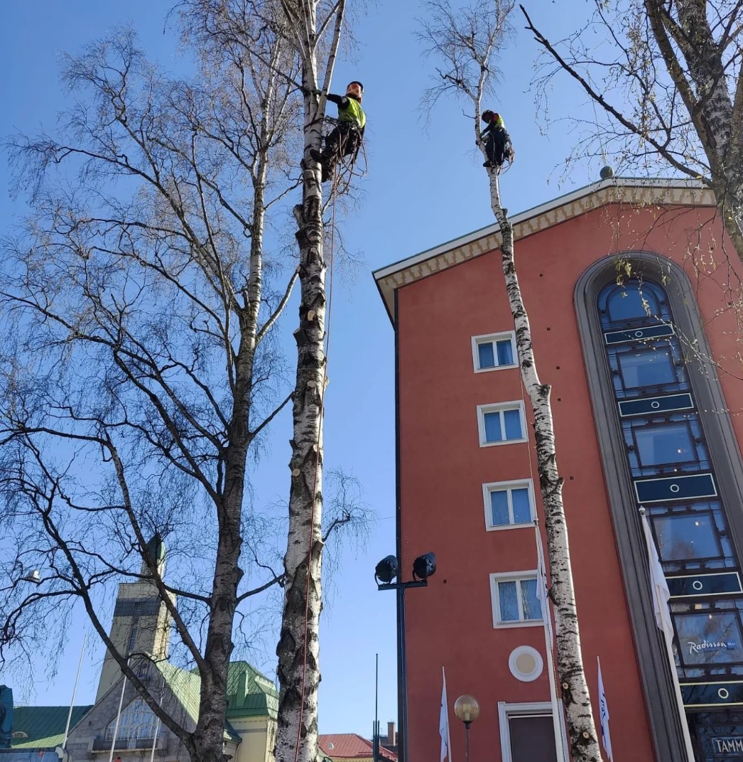 Images SMP Arboristit Oy