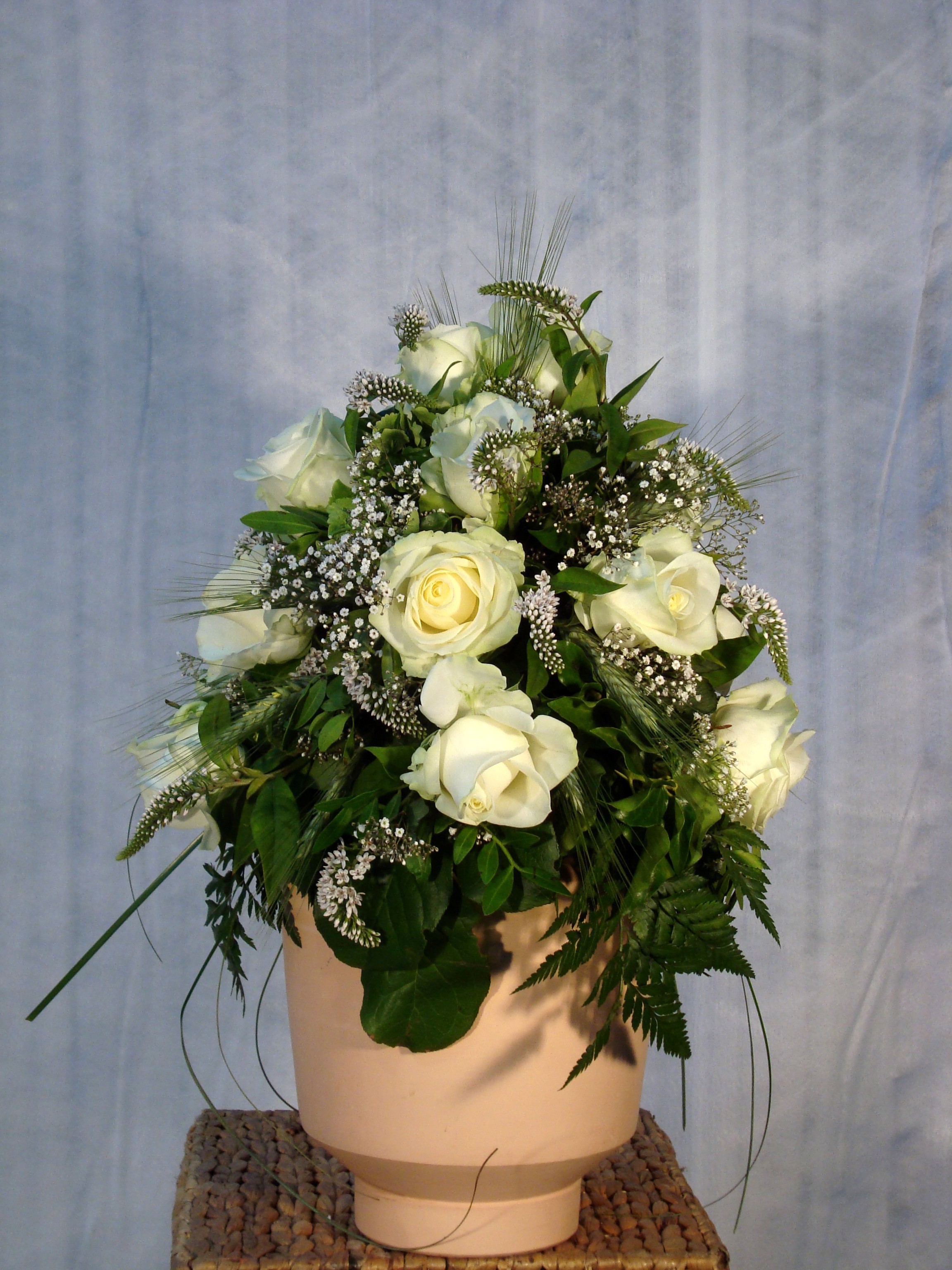 Bilder HAGER IMBACH GmbH