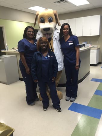 Images MainStreet Family Care