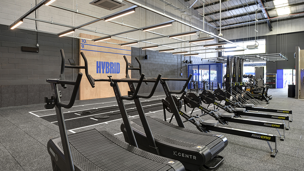 Hybrid Area