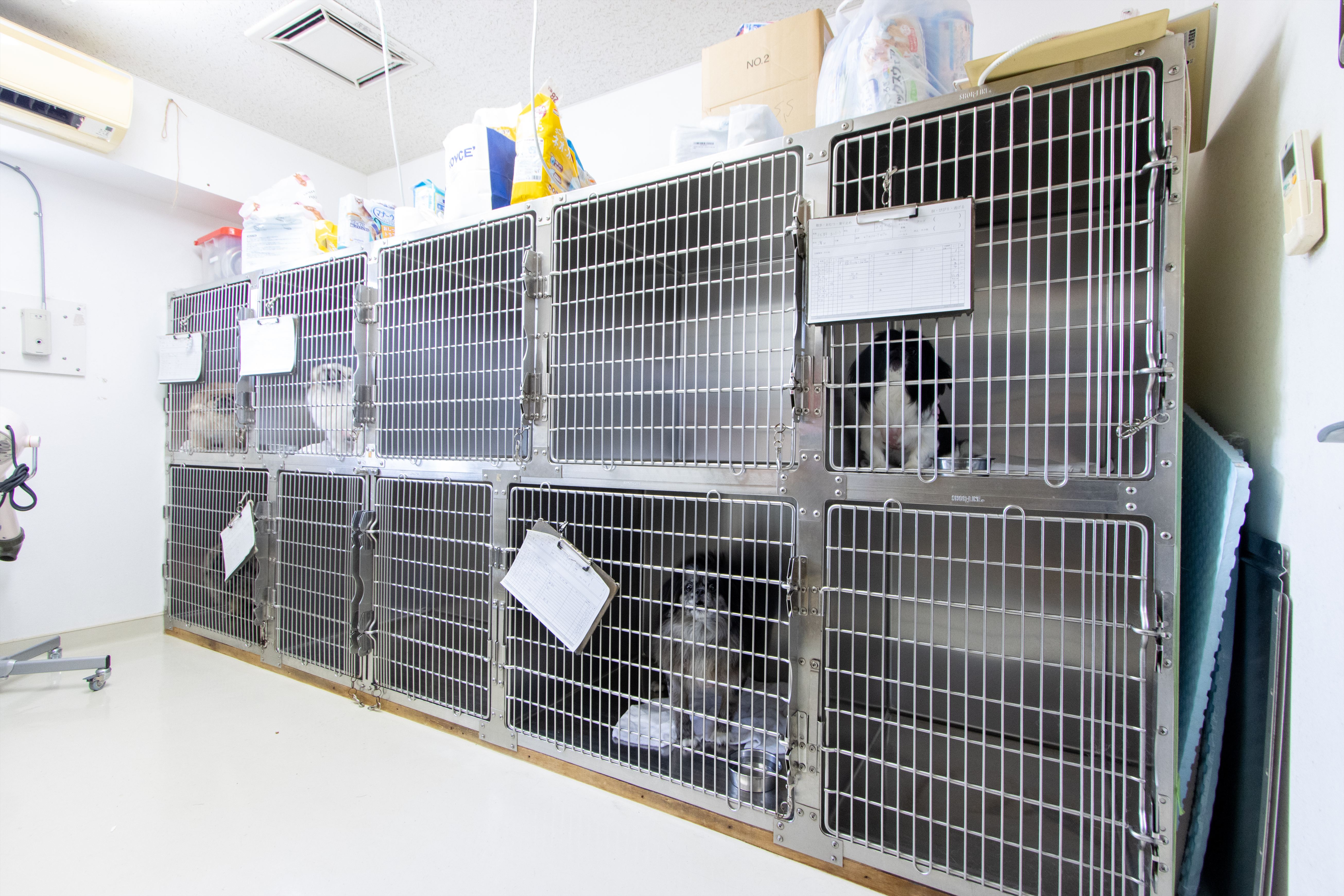 Images 下末吉赤塚犬猫病院