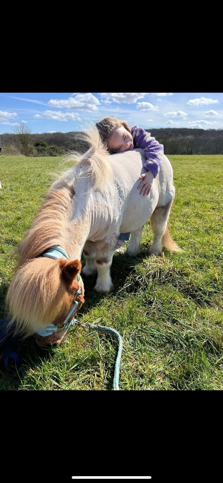 Images Kent Equine Therapy Ponies