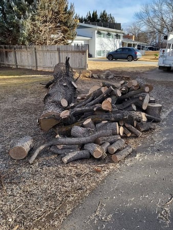 Images Lusher Tree Services