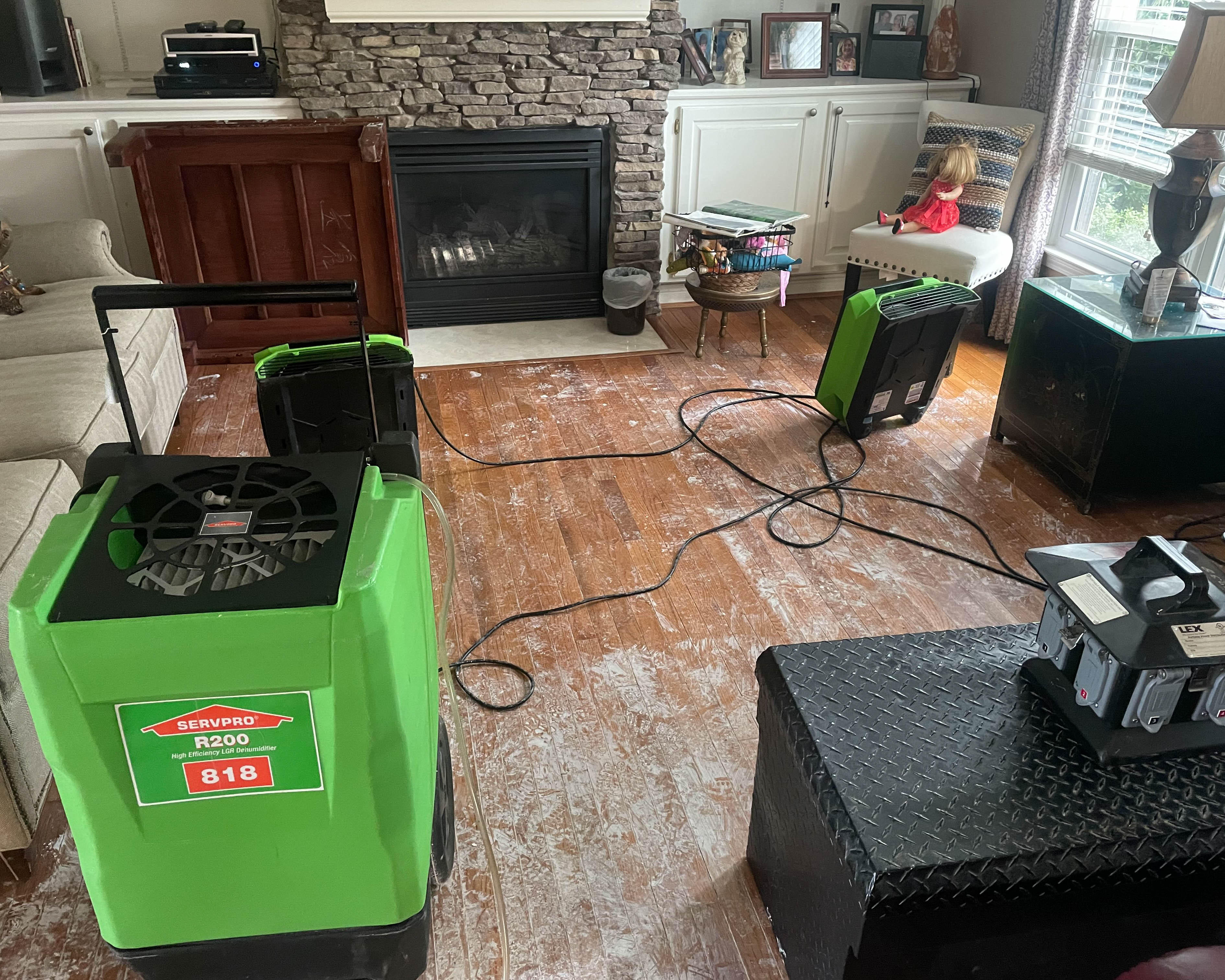 You need a Restoration Company Like SERVPRO to help you with Mold damage in your Hardin Valley, TN area.