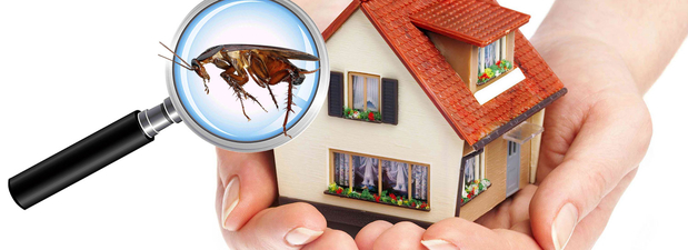 Images Carroll Exterminating Company