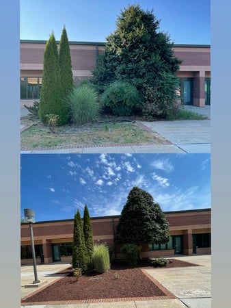 Images Bejarano Landscaping LLP