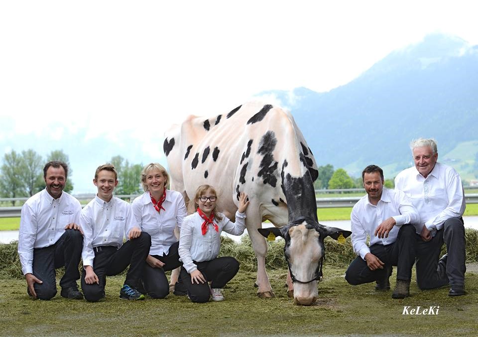 Annis Zillertaler Edelbrände vom Greidlhof, Hochfügenerstraße 6 in Fügen