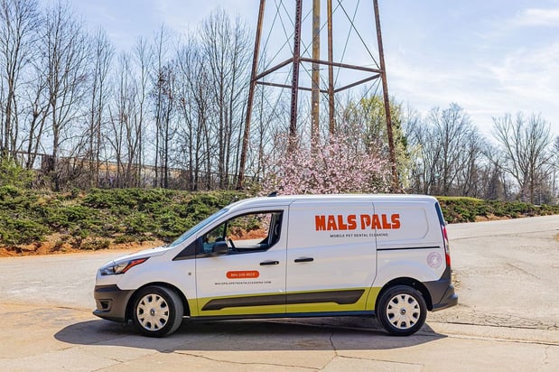 Images MalsPals Pet Dental Cleaning