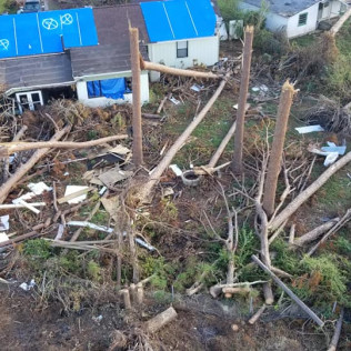 Spruce Creek Tree Service, LLC Logo