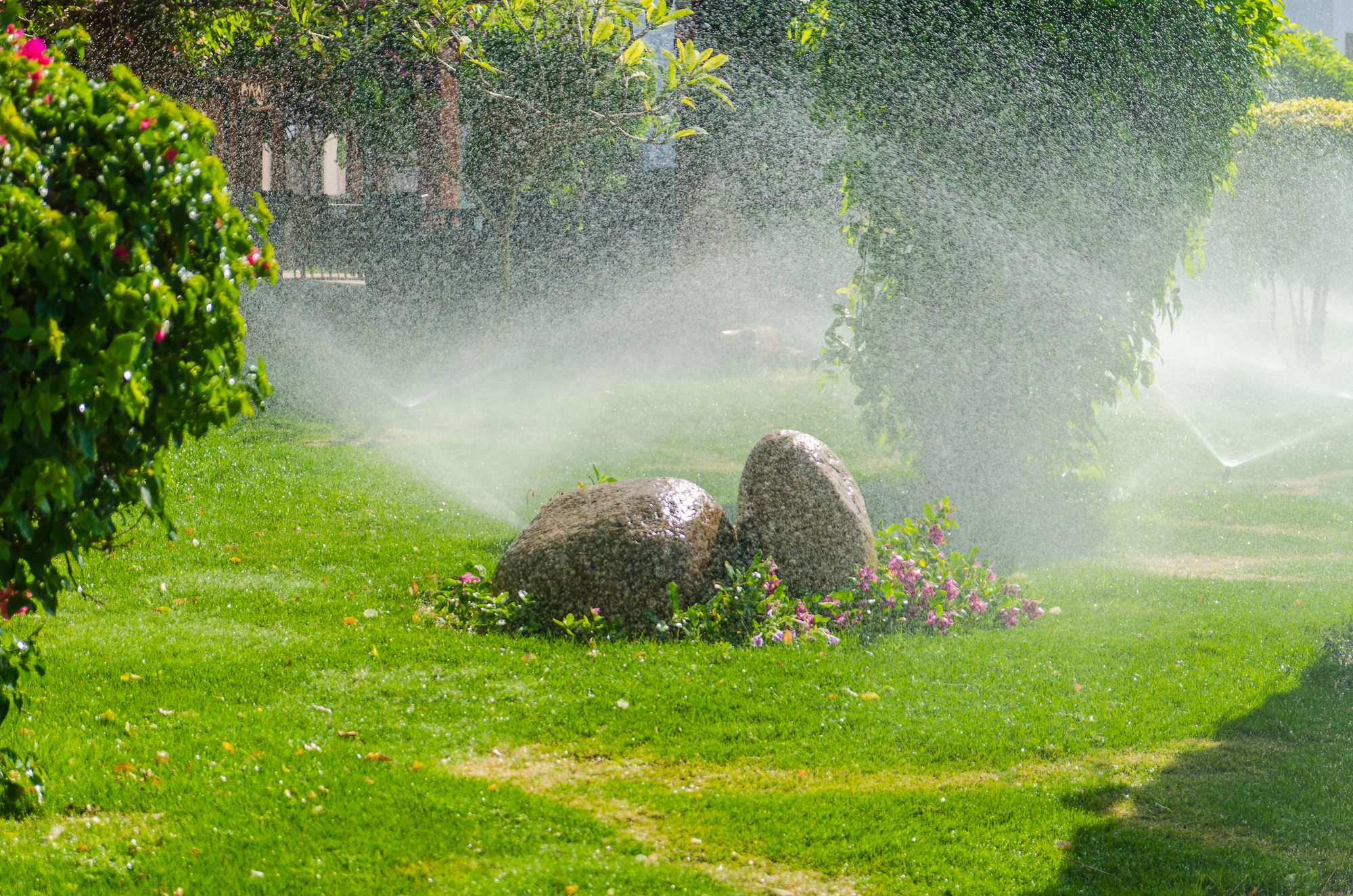 An automatic sprinkler system sprays a fine mist to water a vibrant green lawn and landscaping features.