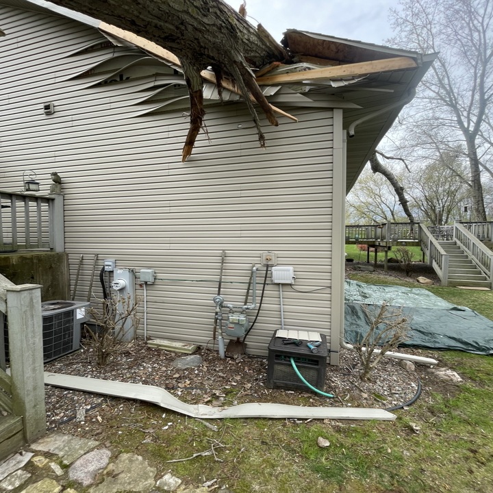 Images Stangel’s Tree Service