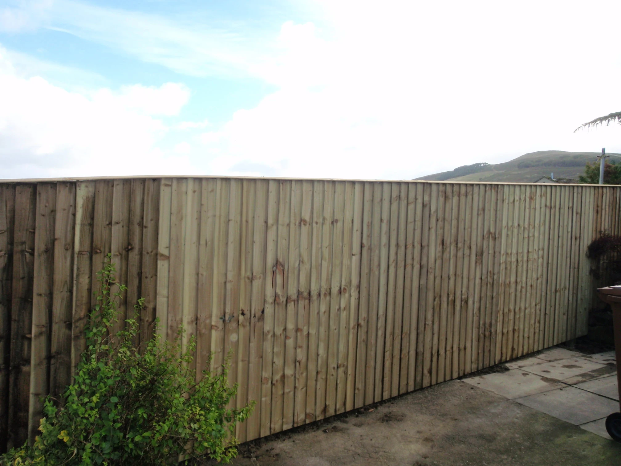 Images D & E Landscapes