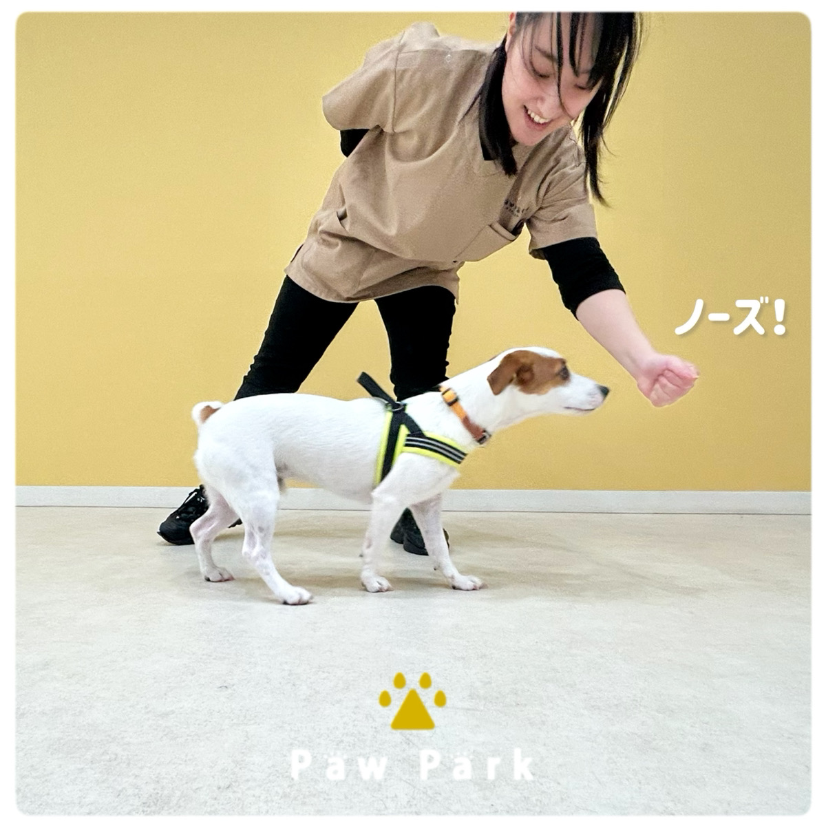Images PawPark 犬のようちえん 高槻店