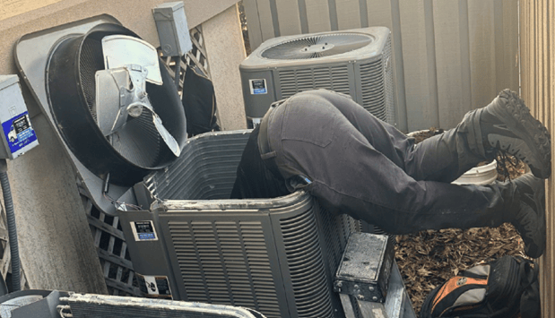 Images TemperaturePro