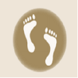 El Paseo Podiatry - Kenneth Phillips Dpm