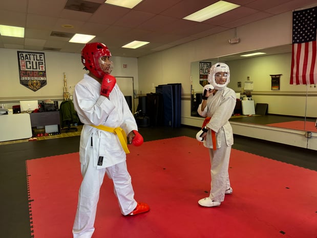 Images Jaguar Dojo