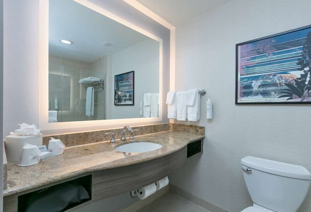 Images Hilton Garden Inn Dallas/Arlington