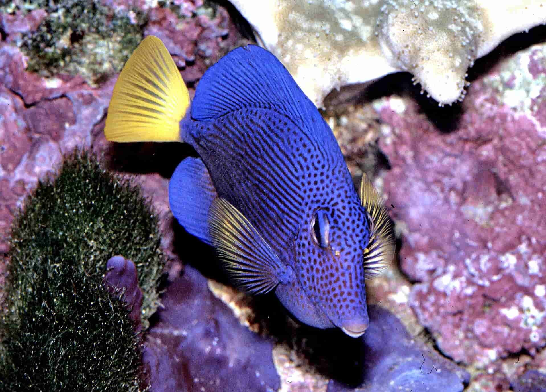 S&L Naturverlag, Bergrat-Mahr-Straße 17 in Ilmenau