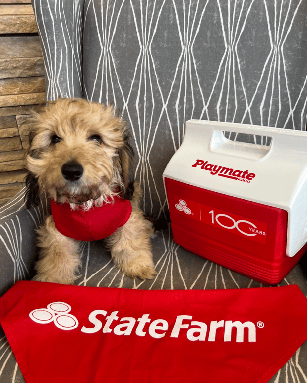 Images Ngoc Phung - State Farm Insurance Agent
