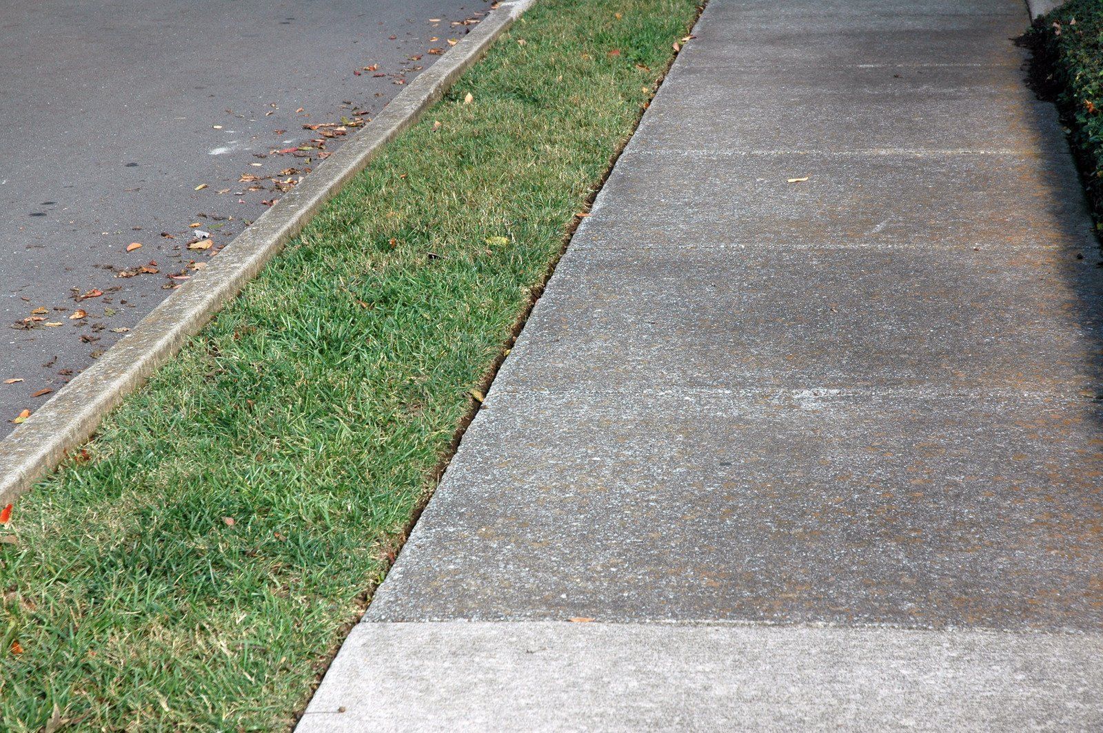 Concrete sidewalk displaying visible dirt, discoloration, and organic buildup before professional pr 