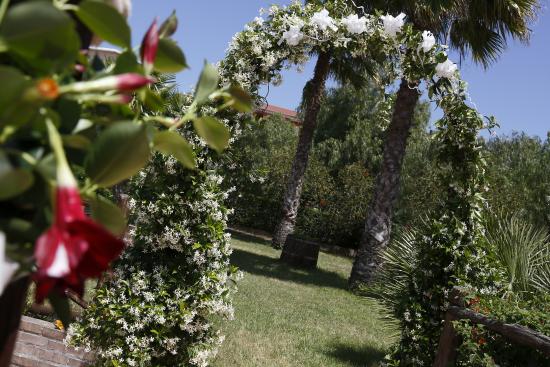 Images Ristorante Prato Verde