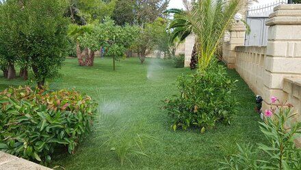 Images Il Punto Verde