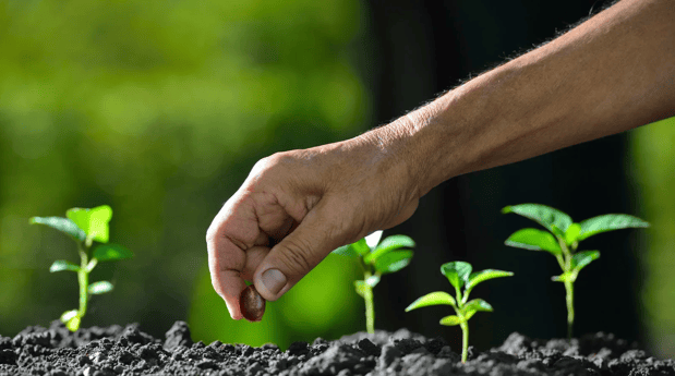 Images Appalachian Seeding & Drainage