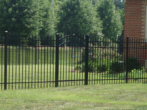 Images Vision Fencing