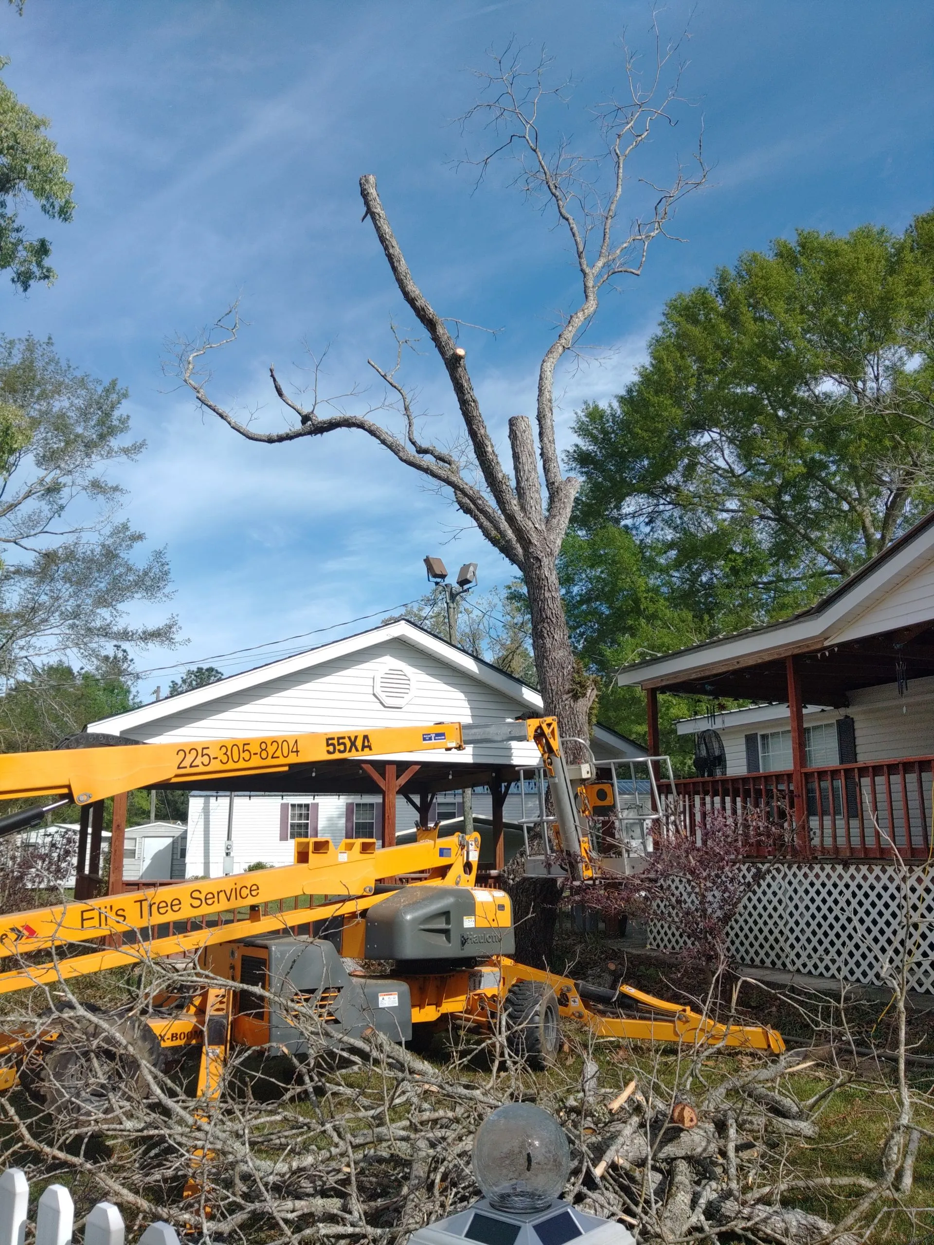 Tree removal in progress using a bucket lift beside a house; cut branches and equipment are visible in the yard.