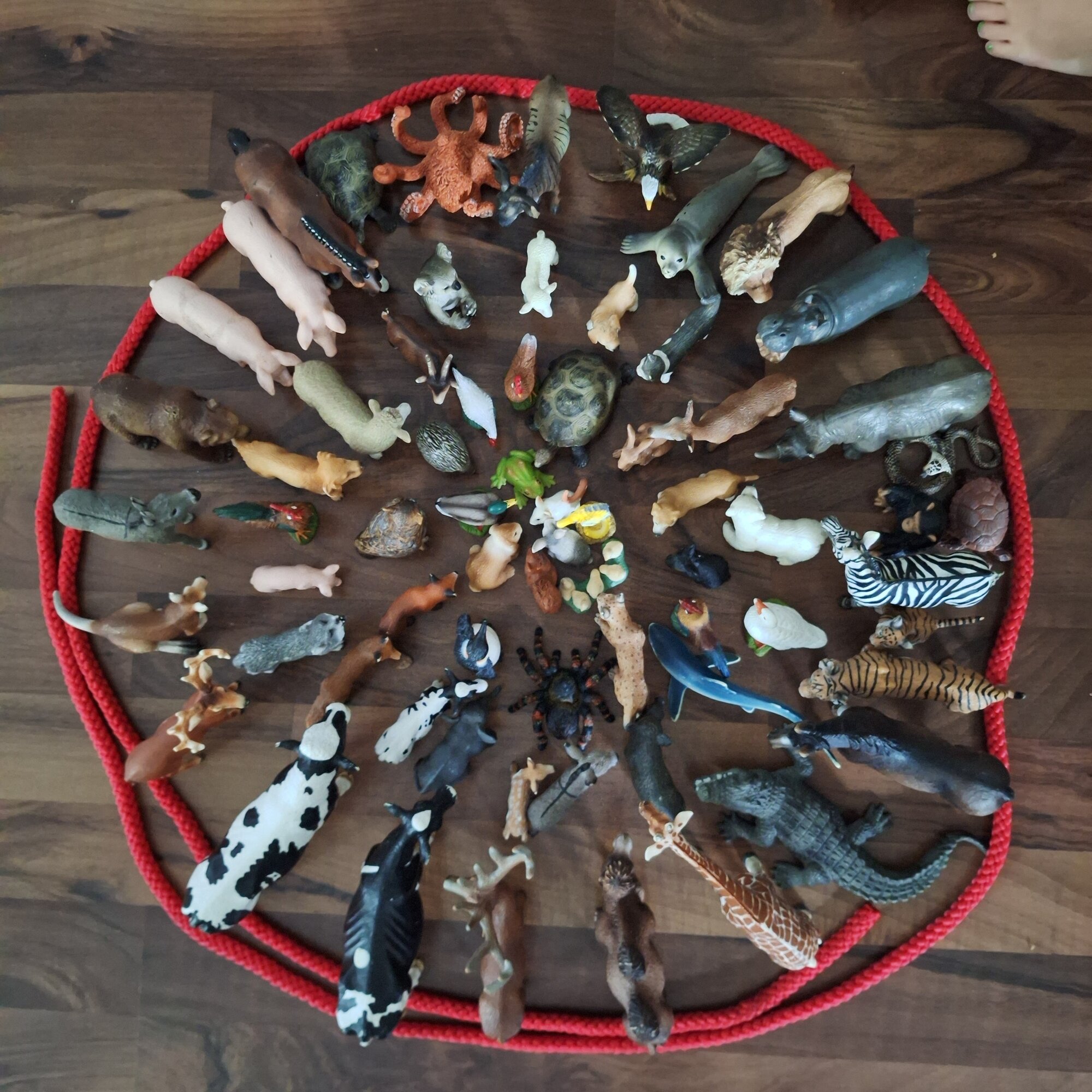 Kinderheilcoaching in Berlin