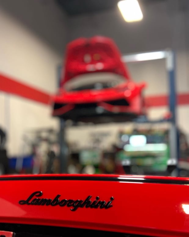 Images Loudoun County Exotics