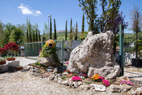 Images Vivaio Mignogna