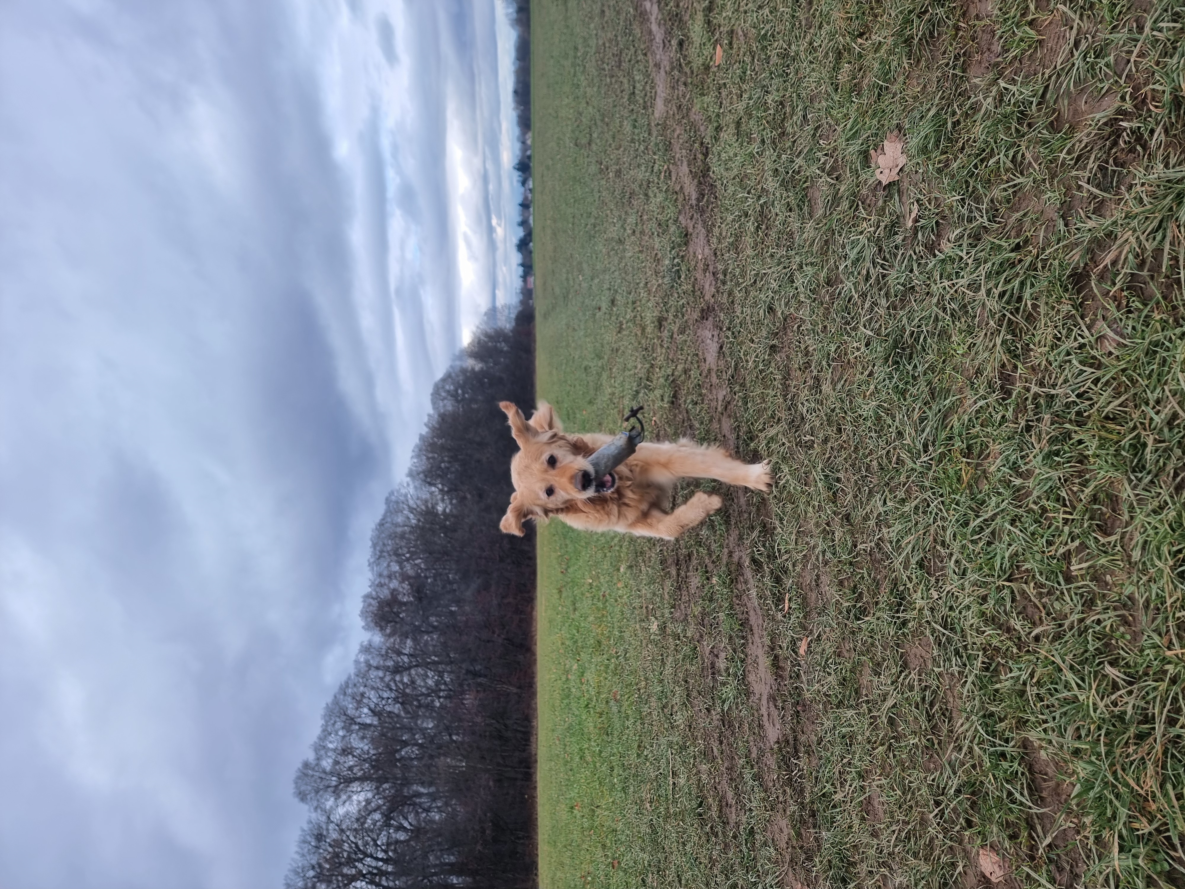 Tinas HuSchu in Baierbrunn