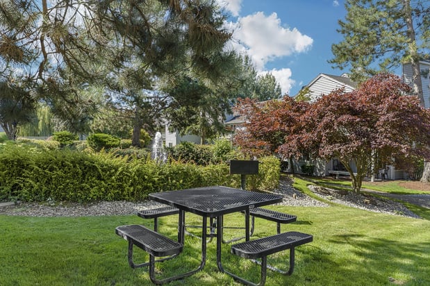 Images Canyon Springs