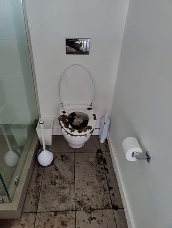 Images Clean Cure Restoration