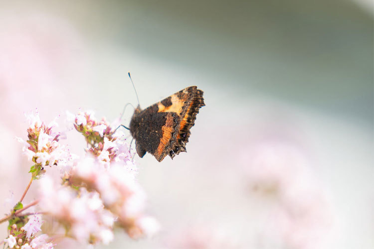 Images Ly Avlastning AS