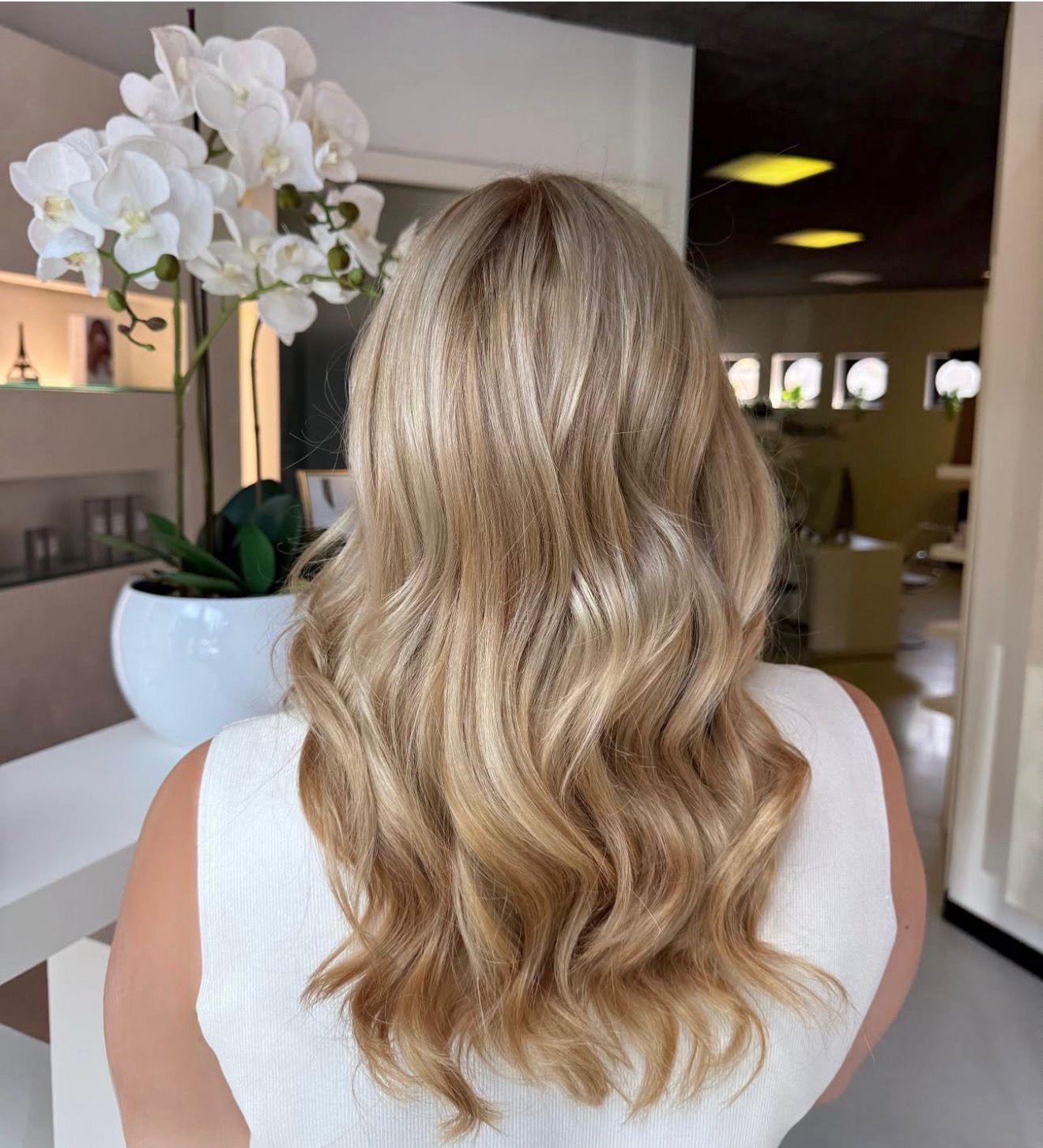 Bilder Elegance hair and beauty