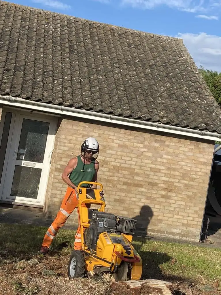 Images S P Landscapes & Tree Contractors