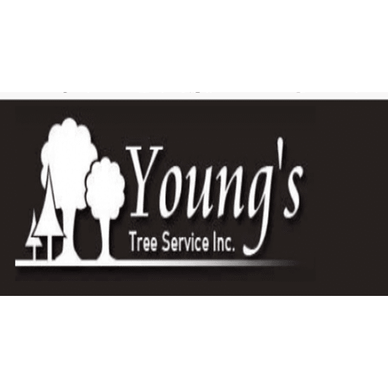 Young's tree Service